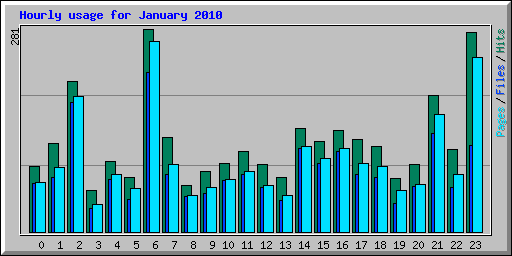 Hourly usage for January 2010